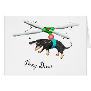 Doxy Drone, dachshund flying with a drone in the s