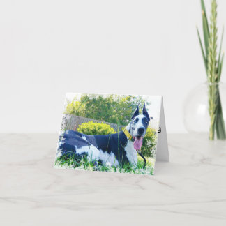 Dozer the Therapy Dog Greeting Card
