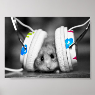 Dr Dre beats Poster