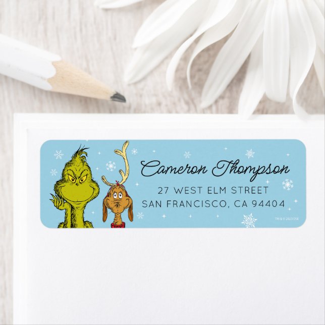 Dr. Seuss | Grinch & Max Winter Birthday (Insitu)