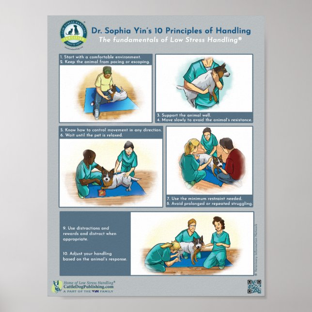 Dr. Yin's 10 Principles of Handling Dogs Poster (Front)