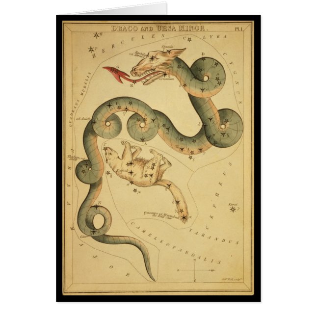 Draco and Ursa Minor (Front)