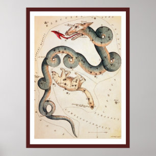 Draco and Ursa Minor by Sidney Hall Poster