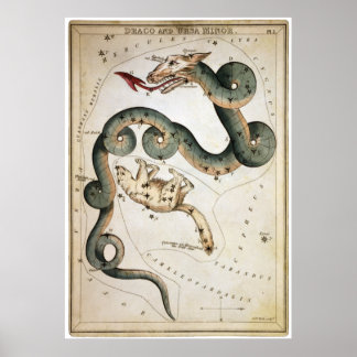 Draco and Ursa Minor Poster