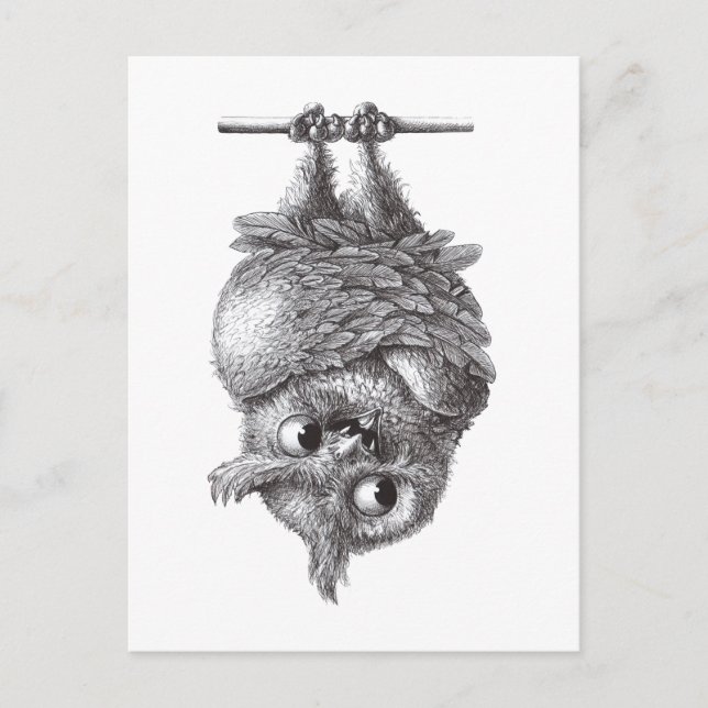 Dracula Owl Cool and So Scary Postcard (Front)