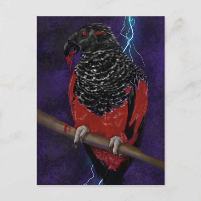 Dracula Parrot  Postcard (Front)