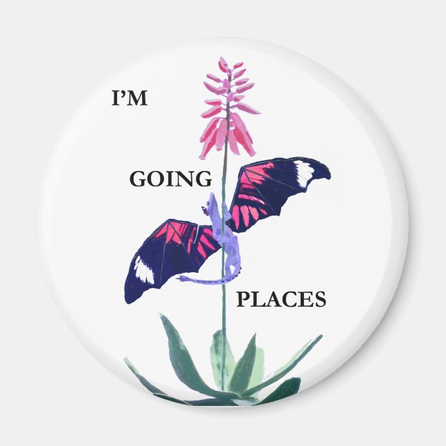 Dragon and Cactus Magnet (Front)