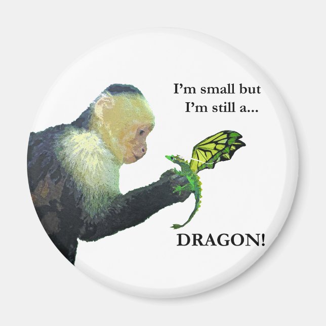 Dragon and Monkey Magnet (Front)