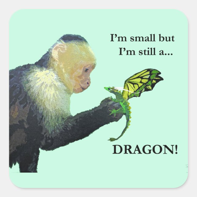 Dragon and Monkey Square Sticker (Front)