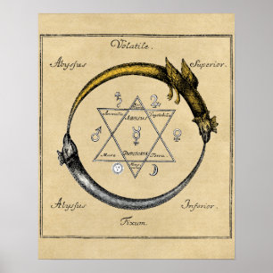 Dragon and Snake Ouroboros Mandala Poster