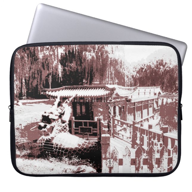 Dragon Boat Electronics Bag (Front)