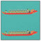 Dragon Boat Racing