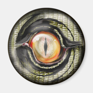 dragon eye magnet