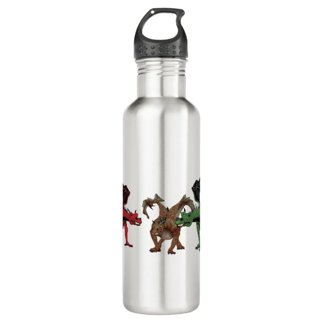 Dragon Family 710 Ml Water Bottle (Front)