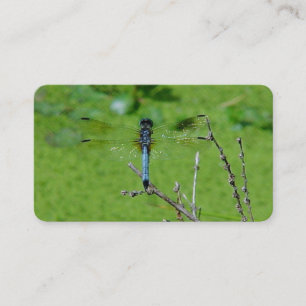 Dragon Fly Business Cards