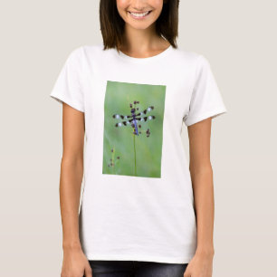 Dragon fly perched on grass, Canada T-Shirt