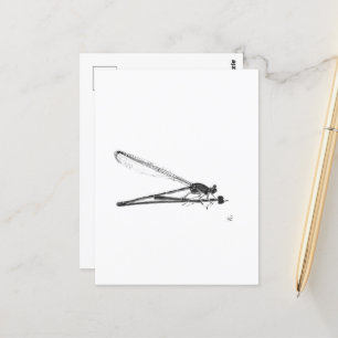Dragon Fly Postcard