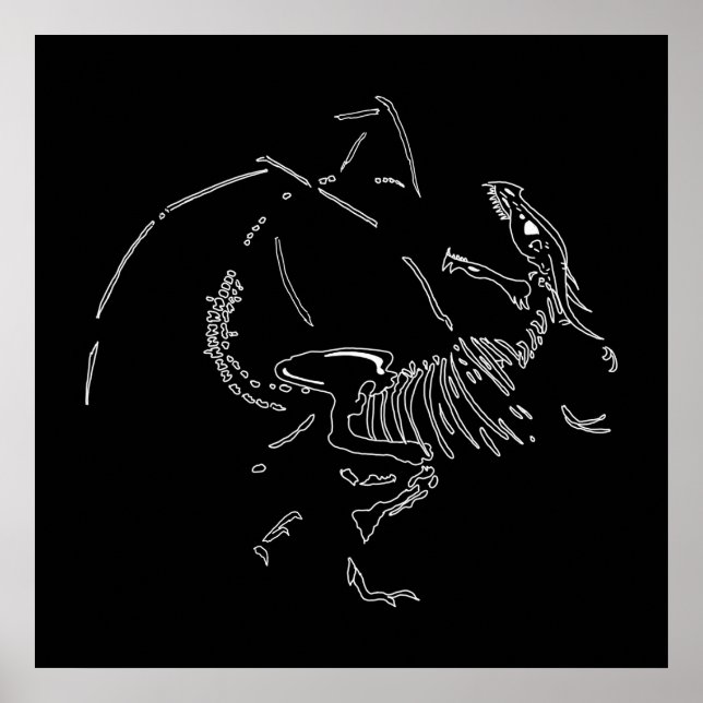 Dragon Fossils Poster (Front)