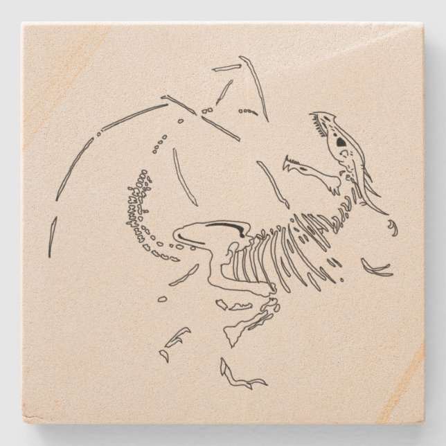 Dragon Fossils Stone Coaster (Front)