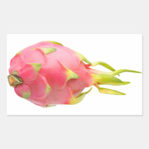 Dragon fruit rectangular sticker