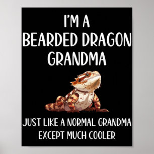 Dragon Grandma Definition Animals Lover Mothers Da Poster