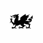 Dragon Heraldry Sculpture Standing Photo Sculpture<br><div class="desc">Run away! Run away! This is a cut-out sculpture that would look great on any dragon lover's shelves,  desk,  mantel... </div>