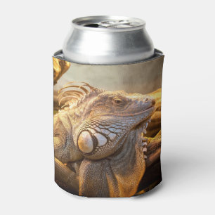 Dragon Iguana name Can Cooler