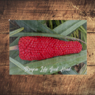 Dragon Lily Red Seed Head Cutting Board