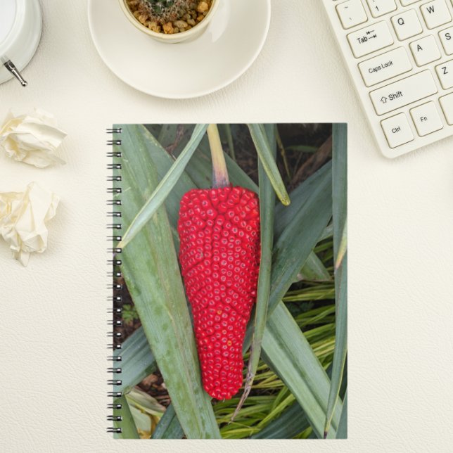 Dragon Lily Red Seed Head Notebook (In Situ)