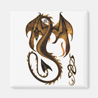 dragon magnet