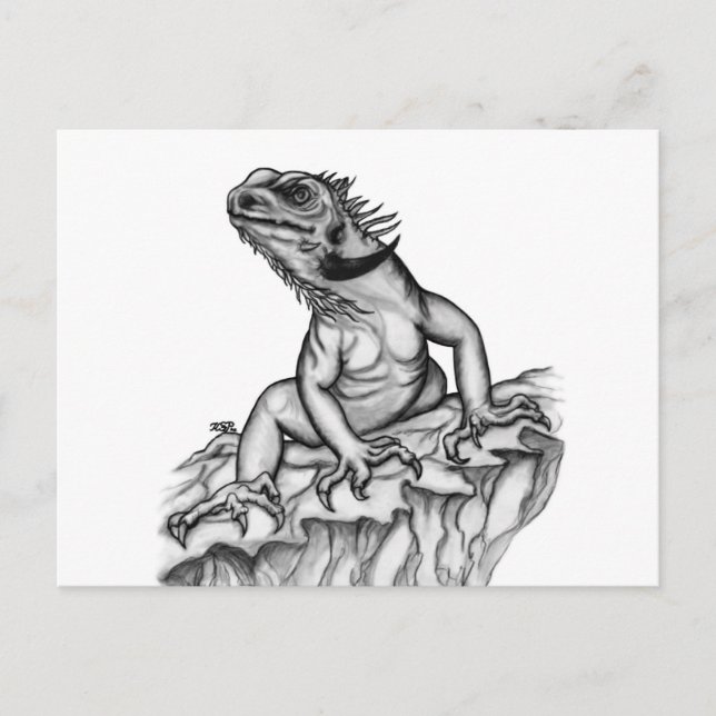 Dragon on the Rock Postcard (Front)
