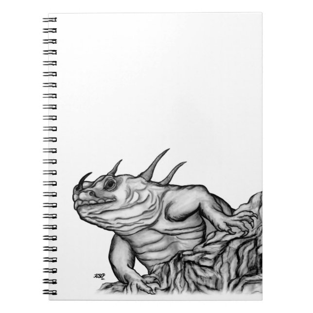 Dragon on the Rock Spiral Notebook (Front)