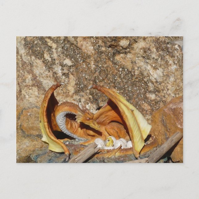 Dragon Post Card (Front)