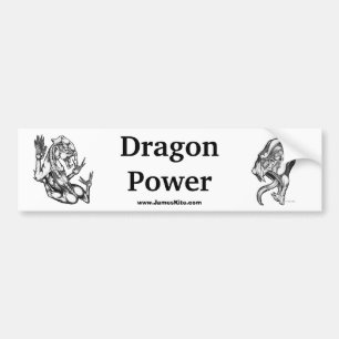 Dragon Power Bumper Sticker