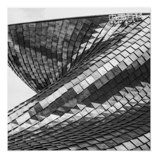 dragon reflexes poster (Front)