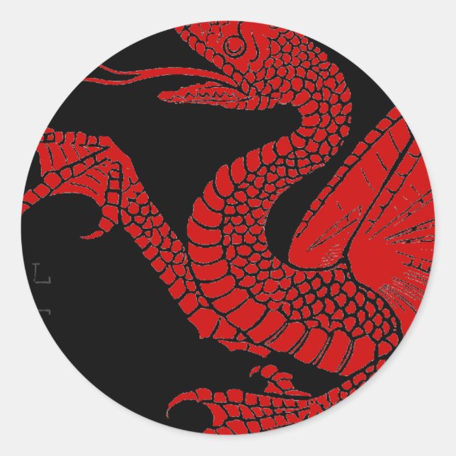 Dragon Sticker (Front)