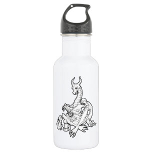 Dragon Storytime 532 Ml Water Bottle