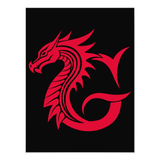 Dragon Styled Letter G, Dragon Alphabet, Monogram Photo Print (Front)