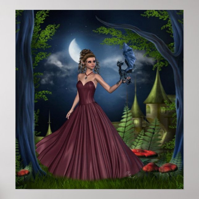 Dragon Tamer Poster (Front)