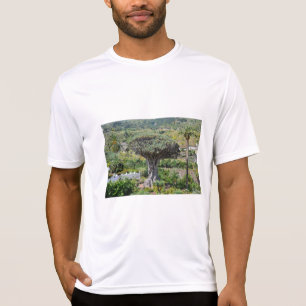Dragon Tree at Tenerife T-Shirt