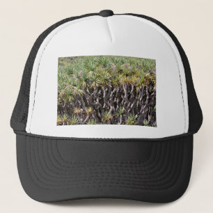 Dragon tree at Tenerife Trucker Hat