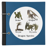 Dragon Types Species Wrym Wyvern Drake