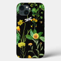Dragonflies and Bees on Herb Plants