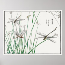 Dragonflies and Reed Grass by Morimoto Toko,