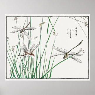 Dragonflies and Reed Grass by Morimoto Toko, Poster