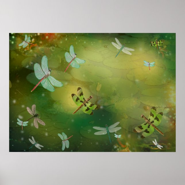 Dragonflies and Water Lillies Artwork Poster (Front)