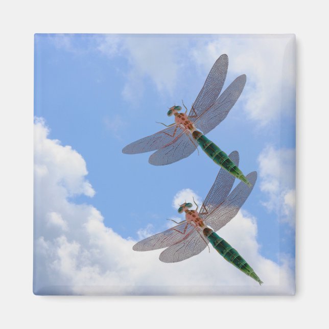 Dragonflies Blue Sky Clouds Nature Magnet (Front)