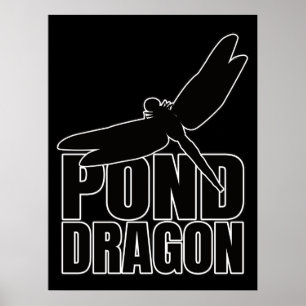 Dragonflies Dragonfly – Entomology Geek Poster