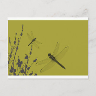 Dragonflies in the Grass Postcard