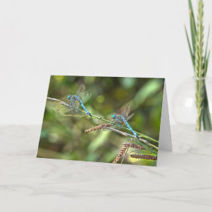 Dragonflies on Branch Greeting Card